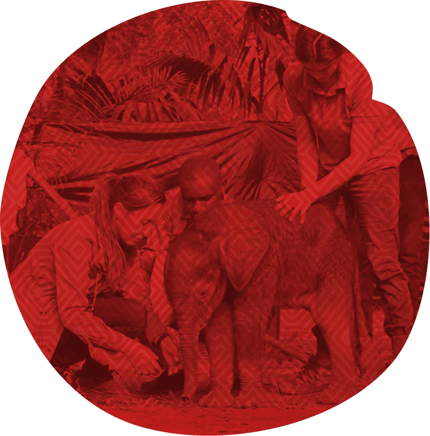 I want to become a volunteer